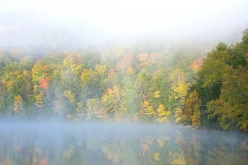 reflection;Autumn;mist;Gold;Tan;Orange;lake;Forest;foggy;Vermont;Woodlands;pond;Mirror;Fall;Green;fog;Emerald Lake;haze;Timberland;Trees;reflections;Tree;Blue;misty;water;Woodland;Yellow