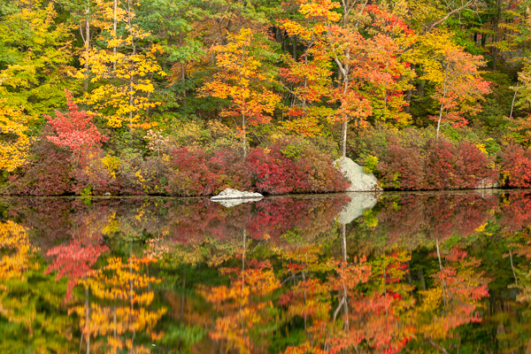 Autumn;Boulder;Boulders;Branches;Brown;Calm;Fall;Forest;Forested;Gold;Harriman State Park;Healing;Leaf;Mirror;Nature;Pastoral;Rock;Rocks;Rocky;Stone;Stones;Tan;Timber;Timberland;Tree;Water;Waterscape;Wood;Woodland;Woods;Yellow;foliage;green;lake;landscape;leaves;limbs;oneness;orange;peaceful;plants;pool;red;reflection;reflections;restful;serene;soothing;tranquil;tree limbs;trees;trunk;zen