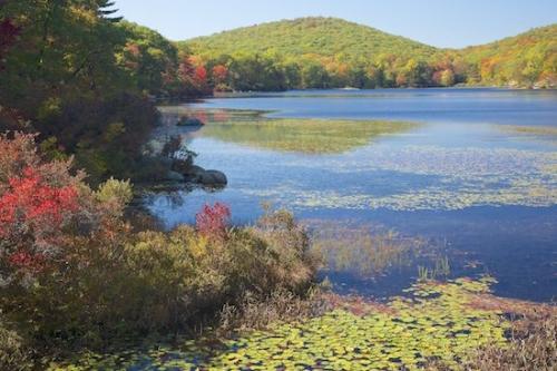 Hill;Lake;Red;Yellow;Lily Pads;Fall;Blue;Harriman State Park;Mountainous;Landscape;Green;Season;Lily;Panoramic;Autumn;Hills;Mountain;New York;Hilltop