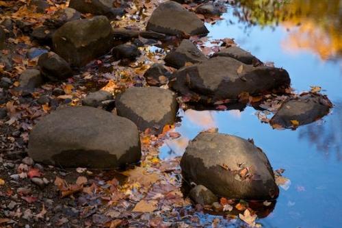Fallen Leaves;Tan;reflections;Rock;Wabi Sabi;zen;Gray;Stone;Fallen;lake;Oneness;Fall;Harriman State Park;Boulder;Blue;Leaves;Autumn;pond;Rocks;New York;Peaceful;reflection;Leaf;Brown;Stones;Boulders;Yellow;Mirror;water;Pastoral;Details