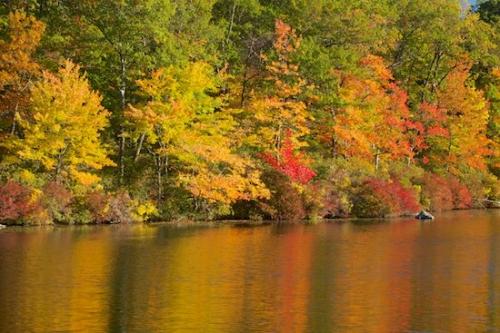 Forest;Mirror;Yellow;water;Trees;Seasons;Autumn;Peaceful;Woodlands;pond;Fall;reflections;Tree;Season;Wooded area;Green;New York;reflection;lake;Gold;Harriman State Park;Orange;Woods