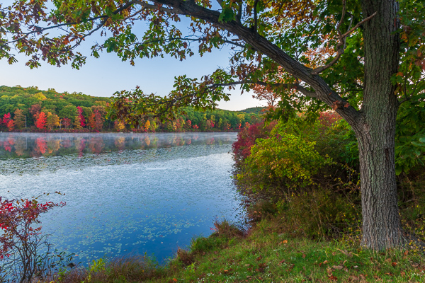 Aqua;Autumn;Blue;Branches;Brown;Calm;Fall;Forest;Forested;Harriman State Park;Horizontal;Lily Pads;Mirror;Nature;New York;Oak;Pastoral;Ripple;River;Stream;Timber;Timberland;Tree;United States;Water;Waterscape;Wood;Woodland;Woods;Yellow;bark;green;lake;landscape;leaves;limbs;oneness;orange;peaceful;plants;pool;red;reflection;reflections;serene;soothing;stump;tranquil;tree limbs;trees;trunk;zen