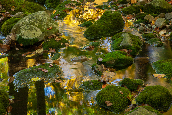 Boulder;Boulders;Brown;Calm;Fallen;Fallen Leaves;Gold;Harriman State Park;Healing;Leaf;Macro;Mirror;Moss;Nature;New York;Pastoral;Rock;Rocks;Rocky;Stone;Stones;Sunlight;Sunshine;Tan;United States;Water;Waterscape;Yellow;foliage;green;landscape;leaves;oneness;orange;peaceful;pool;reflection;reflections;restful;serene;soothing;sunlit;tranquil;zen