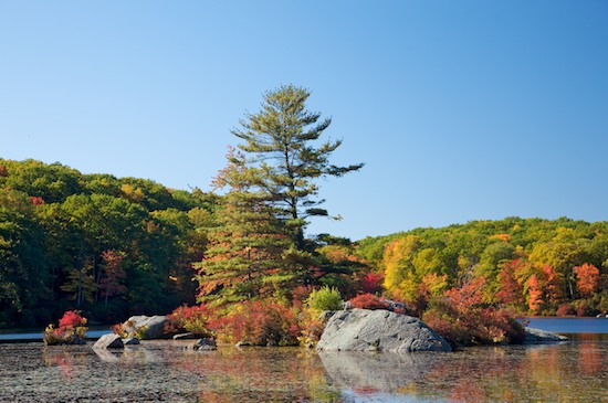 Autumn;Blue;Boulder;Fall;Forest;Geological;Geology;Green;Harriman State Park;Lake;New York;Pine;Red;Reflection;Reflections;Rock;Rock Formations;Rocks;Stone;Stones;Striation;Timber;Timberland;Wood;Woodland;Woodlands;Woods;Yellow