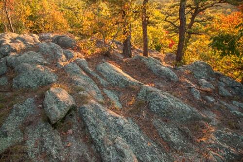 Autumn;Bluff;Boulder;Boulders;Branch;Branches;Brown;Cliff;Fall;Foliage;Forest;Forested;Gold;Green;Healing;Hill;Landscape;Leaf;Leaves;Modern;Mountain;Mountain Top;Mountainous;Nature;New Jersey;Oneness;Orange;Pastoral;Peaceful;Pine;Pine Needles;Ramapo Lake;Ramapo Mountains;Red;Rock;Rock Formations;Rocks;Rocky;Stone;Stones;Summit;Sunlight;Sunlit;Sunshine;Tan;Timber;Timberland;Tree;Tree Trunk;Trees;Trunk;United States;Woodland;Woods;Yellow;bark;calm;limbs;modern art;restful;serene;soothing;tranquil;tree limbs;zen