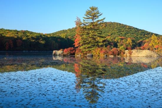 Autumn;Blue;Boulder;Boulders;Brown;Calm;Fall;Forest;Forested;Geological;Geology;Gold;Harriman State Park;Healing;Health care;Healthcare;Hill;Lily Pads;Mirror;Mountain;Mountain Side;Mountain Top;Mountainous;Mountains;Nature;New York;Pastoral;Pine;Rock;Rock formations;Rocks;Seasons;Stone;Stones;Tan;Timber;Timberland;Tree;United States;Water;Waterscape;Wood;Woodland;Woodlands;Woods;Yellow;green;hillside;lake;landscape;oneness;orange;peaceful;red;reflection;reflections;restful;serene;sky;soothing;striation;tranquil;trees;zen