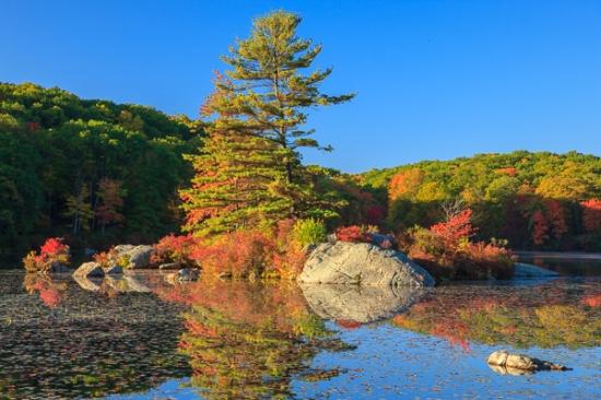 Autumn;Blue;Boulder;Boulders;Brown;Calm;Fall;Forest;Forested;Geological;Geology;Gold;Harriman State Park;Healing;Health care;Healthcare;Hill;Lily Pads;Mirror;Mountain;Mountain Side;Mountain Top;Mountainous;Mountains;Nature;New York;Pastoral;Pine;Rock;Rock formations;Rocks;Seasons;Stone;Stones;Tan;Timber;Timberland;Tree;United States;Water;Waterscape;Wood;Woodland;Woodlands;Woods;Yellow;green;hillside;lake;landscape;oneness;orange;peaceful;red;reflection;reflections;restful;serene;sky;soothing;striation;tranquil;trees;zen