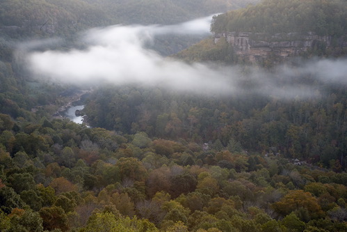 Cumberland Plateau;Haze;Obscured;Mist;Misty;Foggy;Fog;Wood;Woodland;Woods;Timber;Timberland;Forest;Leaf;Leaves;Leafy;Foliage;Vein;Plant;Trunk;Bark;Branches;Branch;Herbaceous;Shrub;Bush;Trees;Tree Trunk;Rivers;River;Riverbed;Water;Flowing;waterway;stream;creek;brook