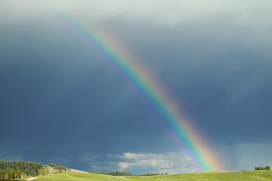 Aqua;Blue;Cloud;Forest;Green;Hills;Hillside;rainbow;Red;Weather;Wyoming;Yellow;Yellowstone;Yellowstone National Park