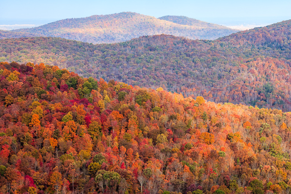 Autumn;Beams;Blossom;Blossoms;Calm;Couchville Cedar Glade State Natural Area;Cumberland Plateau;Daylight;Fall;Floweret;Flowering;Flowers;Fog;Forest;Forested;Habitat;Healing;Health care;Healthcare;Hill;Jamestown;Leaf;Light;Logging;Minimalism;Mountain;Mountain Side;Mountain Top;Mountainous;Mountains;Northern Cumberland Plateau;Pastoral;Peak;Pinnacle;Precipice;Range;Seasons;Skinner Mountain;Streaming;Summit;Sun rays;Sunlight;Sunshine;TNC;Tennessee;Timber;Timberland;United States;Wood;Woodland;Woods;bloom;flora;floral;flower;foggy;haze;hillside;landscape;mist;misty;oneness;peaceful;rays;restful;serene;soothing;sunlit;tranquil;trees;zen