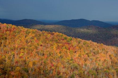 Jamestown;Streaming;Beams;Mountainous;Daylight;Timber;TNC;Pinnacle;Peak;Skinner Mountain;Mountains;Rays;Light;Range;Precipice;Mountain;Sunrays;Timberland;Wood;Seasons;Cumberland Plateau;Northern Cumberland Plateau;Sunlight;Sunshine;Fall;Woodland;Woods;Summit;Autumn;Mountain Top;Forest;Tennessee