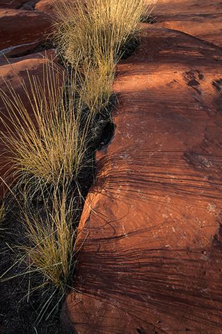 Abstract;Abstractions;Patterns;Shapes;Textures;Sunlight;Sun;Beams;Sunbeam;Rays;Light;Luminance;Illuminate;Sunset;Dusk;Twilight;evening;Nightfall;Sundown;Rocks;Rock;Boulder;Boulders;Rock Formations;Stones;Pebble;Pebbles;Stone;Grass