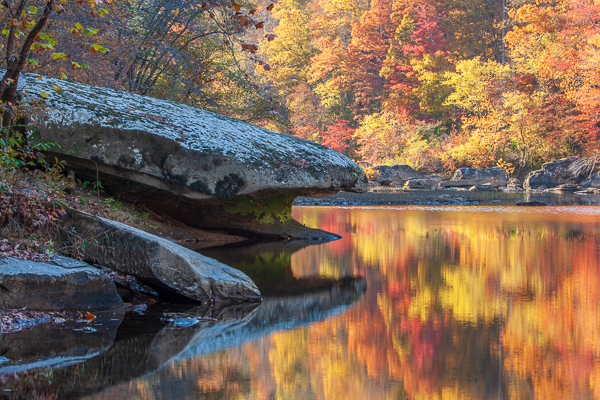 Autumn;Big South Fork National Recreation Area;Blue;Boulder;Boulders;Branches;Brown;Calm;Creek;Fall;Flow;Forest;Forested;Gold;Healing;Leaf;Mirror;Nature;Pastoral;Pebbles;Ripple;River;Rock;Rock formations;Rocks;Rocky;Stone;Stones;Stream;Stream Bank;Sunlight;Sunshine;Tan;Tennessee;Timber;Timberland;Tree;Water;Waterscape;Wood;Woodland;Woods;Yellow;flowing;foliage;green;landscape;leaves;limbs;oneness;orange;peaceful;plants;rapids;red;reflection;reflections;restful;river bank;serene;soothing;sunlit;tranquil;tree limbs;trees;zen
