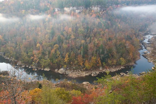 Autumn;Big South Fork National Recreation Area;Bluff;Brook;Cliff;Crag;Creek;Escarpment;Fall;Fog;Foggy;Forest;Green;Haze;Kentucky;Ledge;Mist;Misty;Obscured;Orange;Pine;Precipice;Red;River;River Bed;Riverbed;Rivers;Rock Face;Stream;Tan;Timber;Timberland;water;Water;waterway;Wood;Woodland;Woodlands;Woods;Yellow