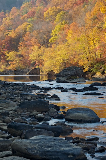 Autumn;Big South Fork National Recreation Area;Boulder;Brook;Creek;Fall;Forest;Geological;Geology;Gold;Gray;Pine;Red;Reflection;Reflections;River;River Bed;Riverbed;Rivers;Rock;Rock Formations;Rocks;Stone;Stones;Stream;Striation;Tennessee;Timber;Timberland;water;Water;waterway;Wood;Woodland;Woodlands;Woods;Yellow