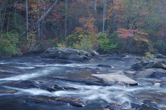 Autumn;Bark;Boulder;Branch;Branches;Brook;Creek;Etowah River;Fall;Geological;Geology;Georgia;Herbaceous;Mist;Plant;River;River Bed;Riverbed;Rivers;Rock;Rock Formations;Rocks;Rushing;Stone;Stones;Stream;Striation;Tree;Tree Trunk;Trees;Trunk;Water;water;waterway;White Water