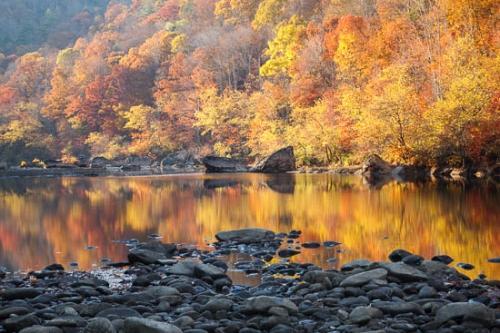 Autumn;Big South Fork;Big South Fork National Recreation Area;Boulder;Brook;Color;Concepts & Emotions;Couchville Cedar Glade State Natural Area;Creek;Fall;Geological;Geology;Gold;Green;Healing;Health care;Healthcare;Impressionism;Impressionist;Landscape;Nature;Orange;Peace;Peaceful;Red;Reflection;Reflections;River;River Bed;Riverbed;Rivers;Rock;Rock Formations;Rocks;Seasons;Stone;Stones;Stream;Striation;Tennessee;Water;Yellow;calm;gentle;monet;quiet;restful;serene;soothing;tranquil;watercolor;waterway