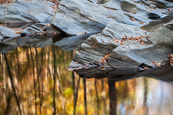 Bark;Boulder;Branch;Branches;Brook;Chatsworth;Creek;Fall Color;Geological;Geology;Georgia;Herbaceous;Holly Creek;Holly Creek Preserve;Plant;River;River Bed;Riverbed;Rivers;Rock;Rock Formations;Rocks;Stone;Stones;Stream;Striation;Tree;Tree Trunk;Trees;Trunk;water;Water;waterway