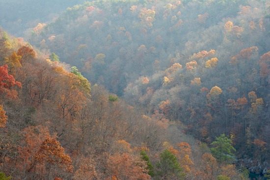 Alabama;Autumn;Bluff;Break of Day;Cliff;Crag;Dawn;Daybreak;Escarpment;Fall;First Light;Forest;Ledge;Little River Canyon National Preserve;Morning;Precipice;Rock Face;Seasons;Sun-up;Sunrise;Timber;Timberland;Wood;Woodland;Woods