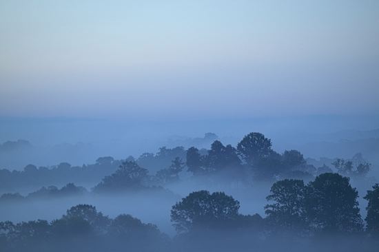 Sunrise;Mist;Morning;Renewal;Trees;Valley;Forest;Fog