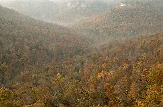 Tennessee;Cumberland Plateau;Seasons;Forest;Fall Scenes;Leaves;Leaf;Plants;Valley;Weather;Nature