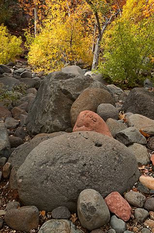Rock Formations;Rocks;Trees;Nature