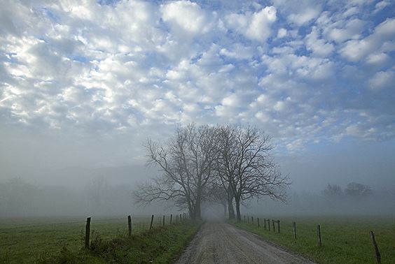 Fog;fresh;Clouds;National Park;Trail;Trees;Road;Grass;Sky;Clean;Scenic;Scenic View;Scenics;Silhouette;Nature