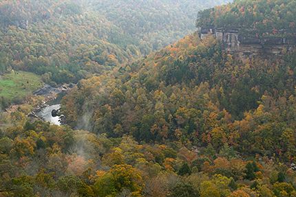 Fall Scenes;Forest;Leaf;Leaves;Nature;Trees;Plants;Woods;Bark;Outdoors;Natural;Woodland;Colorful;Botanical;Vegetation;Foliage;Ledge;Mountain;Cliff;Precipice;Peak;Mountain Top;Rock Formations;Rocks;Boulder;Vertical;High;Power;Powerful;Scenic View;Scenics;Summit;Cumberland Plateau;Canyon;Bluff;Rock Face;Sheer;Steep;Stream;River;Water;Flow;Big South Fork National Recreat