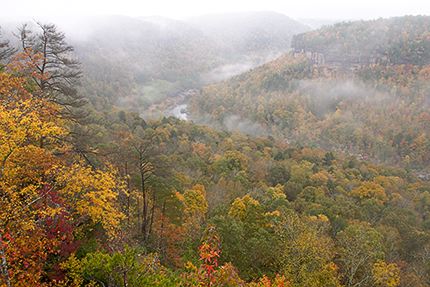 Fall Scenes;Forest;Leaf;Leaves;Nature;Trees;Plants;Woods;Bark;Outdoors;Natural;Woodland;Colorful;Botanical;Vegetation;Foliage;Ledge;Mountain;Cliff;Precipice;Peak;Mountain Top;Rock Formations;Rocks;Boulder;Vertical;High;Power;Powerful;Scenic View;Scenics;Summit;Cumberland Plateau;Canyon;Bluff;Rock Face;Sheer;Steep;Stream;River;Water;Flow;Big South Fork National Recreat