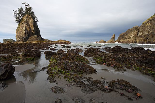 Ocean;Beach;Waves;Shore;Shoreline;Sand;Wet;Water;Sandy;Sea;Starfish;Sunsrise;Ledge;Mountain;Cliff;Precipice;Peak;Mountain Top;Rock Formations;Rocks;Boulder;Nature;Vertical;High;Power;Powerful;Scenic View;Scenics;Summit