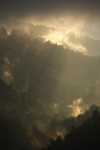 Sunset;Dusk;Twilight;evening;Nightfall;Sundown;Sunlight;Sun;Beams;Sunbeam;Rays;Light;Luminance;Illuminate;Ledge;Mountain;Cliff;Precipice;Peak;Mountain Top;Rock Formations;Rocks;Boulder;Nature;Vertical;High;Power;Powerful;Scenic View;Scenics;Summit;Forest;Trees;Leaves;Leaf;Plants;Woods;Bark;Outdoors;Natural;Woodland;Clouds;Fog;Mist