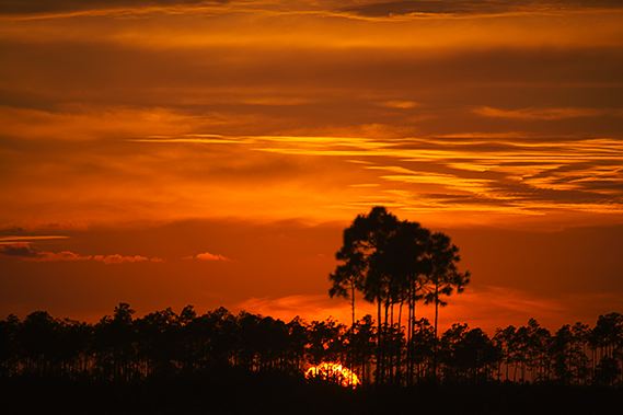 Sunset;Dusk;Twilight;evening;Nightfall;Sundown;Forest;Trees;Leaves;Leaf;Plants;Woods;Bark;Outdoors;Nature;Natural;Woodland;Sky;Clouds;Architecture;Indian;Native American;Ruins;Arizona;Rock
