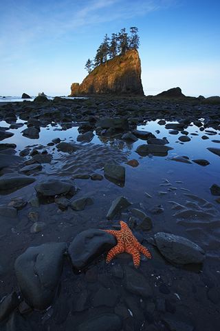 Ocean;Beach;Waves;Shore;Shoreline;Sand;Wet;Water;Sandy;Sea