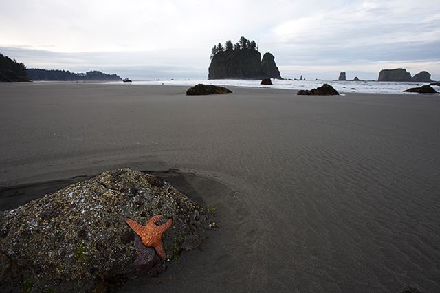 Ocean;Beach;Waves;Shore;Shoreline;Sand;Wet;Water;Sandy;Sea;Starfish;Sunsrise;Ledge;Mountain;Cliff;Precipice;Peak;Mountain Top;Rock Formations;Rocks;Boulder;Nature;Vertical;High;Power;Powerful;Scenic View;Scenics;Summit