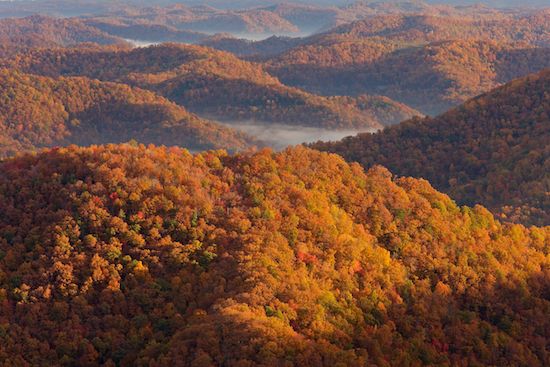 Gold;Foggy;Gorge;Kingdom Come State Park;Hilltop;Break of Day;Forest;Hillside;Brown;Dawn;Leaves;Woods;Yellow;Benham;Foliage;Mist;Autumn;Fog;Woodlands;Woodland;Hill;First Light;Hills;Landscape;Haze;Wood;Wooded area;Valley;Trees;Fall;misty;Kentucky;Sun-up;Red;Summit;Tan;Timber;Timberland;Pine Mountain;Orange;Mountainside;Obscured;Daybreak;Mountainous;Green;Mountain Top;Mountain;Mountains;Tree;Leaf;Morning