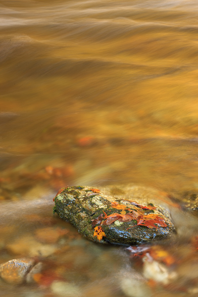 Autumn;Boulder;Boulders;Couchville Cedar Glade State Natural Area;Creek;Fall;Great Smoky Mountains National Park;Leaf;River;Rock;Rocks;Rocky;Stones;Stream;Streaming;Tennessee;Vertical;Water;leaves;rapids;reflection;reflections