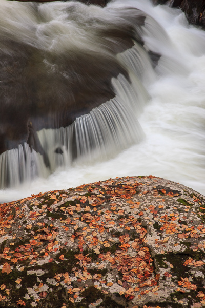 Autumn;Boulder;Boulders;Brown;Cascade;Chute;Couchville Cedar Glade State Natural Area;Fall;Falls;Great Smoky Mountains National Park;Leaf;Pouring;River;Rock;Rocks;Rocky;Stone;Stones;Stream;Streaming;Tan;Tennessee;Vertical;Warm Colors;Warm Palette;Warm Tones;Water;Waterfalls;White;Yellow;color;gray;green;leaves;oneness;peaceful;rapids;red;waterfall;yellow;zen