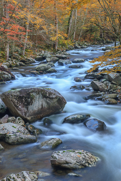 Autumn;Blue;Boulder;Boulders;Brook;Brown;Calm;Cascade;Cascading;Chute;Creek;Fall;Falling;Falls;Flow;Forest;Forested;Geological;Gold;Great Smoky Mountains National Park;Healing;Health care;Healthcare;Nature;Pastoral;Pouring;Ripple;River;Rivers;Rock;Rock formations;Rocks;Rocky;Spilling;Stone;Stones;Stream;Stream Bank;Streaming;Tan;Timber;Timberland;Tree;Water;Waterfalls;Waterscape;Wood;Woodland;Woodlands;Woods;Yellow;flowing;landscape;leaves;oneness;orange;peaceful;rapids;reflection;reflections;restful;river bank;serene;soothing;tranquil;trees;waterfall;waterway;zen