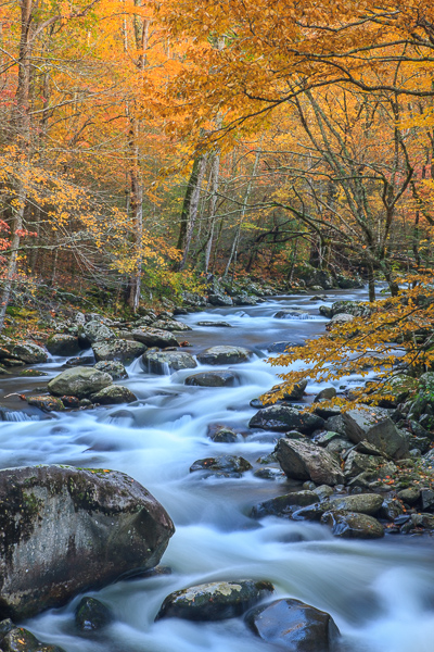 Autumn;Blue;Boulder;Boulders;Brook;Brown;Calm;Cascade;Cascading;Chute;Creek;Fall;Falling;Falls;Flow;Forest;Forested;Geological;Gold;Great Smoky Mountains National Park;Healing;Health care;Healthcare;Nature;Pastoral;Pouring;Ripple;River;Rivers;Rock;Rock formations;Rocks;Rocky;Spilling;Stone;Stones;Stream;Stream Bank;Streaming;Tan;Timber;Timberland;Tree;Water;Waterfalls;Waterscape;Wood;Woodland;Woodlands;Woods;Yellow;flowing;landscape;leaves;oneness;orange;peaceful;rapids;reflection;reflections;restful;river bank;serene;soothing;tranquil;trees;waterfall;waterway;zen