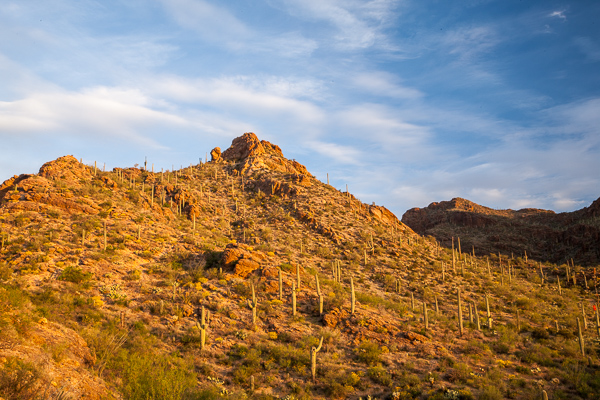 Arid;Arizona;Blue;Blues;Boulder;Boulders;Cacti;Cactus;Calm;Carnegiea gigantea;Cloud Formation;Clouds;Concepts;Cool Colors;Cool Palette;Cool Tones;Dry;Gates Pass;Green;Greens;Habitat;Healing;Hill;Minimalism;Mountain;Mountain Side;Mountain Top;Mountainous;Nature;Oneness;Pastoral;Rock;Rock formations;Rocks;Rocky;Saguaro;Saguaro National Park;Stone;Stones;Sunlight;Sunshine;Tan;Tuscon;United States;Wabi Sabi;Warm Colors;Warm Palette;Warm Tones;Yellow;blue;color;desert;green;hillside;landscape;peaceful;plants;red;restful;serene;sky;soothing;sunlit;tranquil;yellow;zen