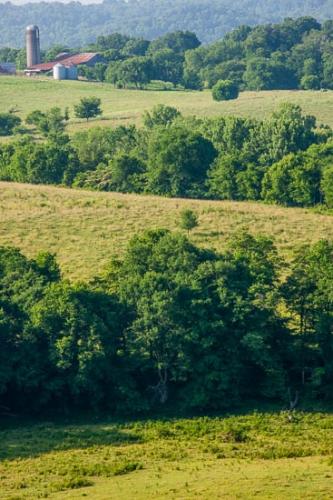 Agricultural;Barn;Farm;Farming;Field;Green;Hay;Healing;Health care;Healthcare;Hill;Hillside;Landscape;Natchez Trace Parkway;Nature;Oneness;Orange;Pastoral;Peaceful;Red;Summer;Summertime;Tan;Tree;Trees;Yellow;calm;hilly;pasture;restful;serene;silo;soothing;tranquil;tree limbs;zen