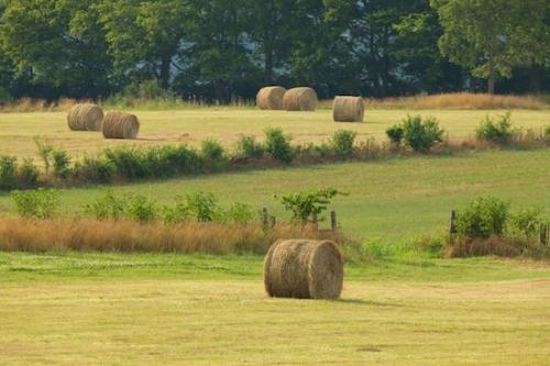 Pastureland;Bale;Fence;Bales;Fields;Tan;Field;Sunny;Green;Pasture;Agricultural;Horizontal;Farming;Hay;Farmland;Farm;Sunshine;Sunlight;Landscape;Hay Bale;Sunlit;Tennessee;Brown