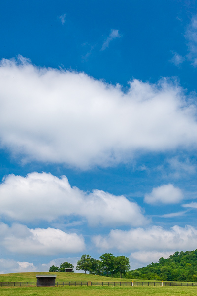 Agricultural;Agriculture;Architecture;Barn;Blue;Brown;Calm;Cloud;Cloud Formation;Clouds;Farm;Farming;Fields;Forest;Healing;Health care;Healthcare;Hill;Nature;Pastoral;Sunlight;Sunshine;Tennessee;Tree;United States;White;Woods;fence;field;green;hillside;landscape;oneness;pasture;peaceful;ranch;restful;serene;sky;soothing;sunlit;tranquil;trees;zen