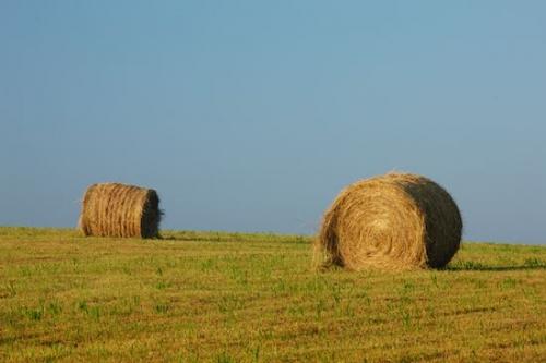 Pasture;Green;Blue;Agriculture;Farmland;Pastureland;Fields;Barns;Farm;Tan;Hay Bale;Peaceful;Farming;Hay;Pastoral;Agricultural;Brown;Field;Yellow;Hay Bales