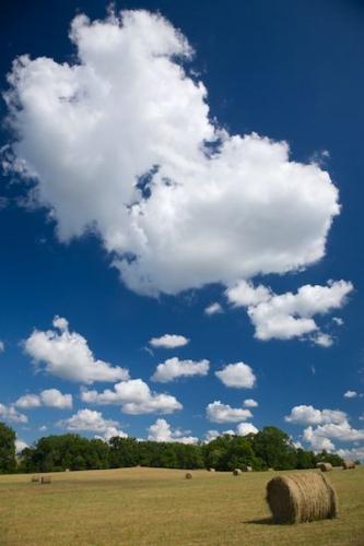 Tan;Farm;Hay Bales;Agriculture;Weather;White;Field;Agricultural;Clouds;Green;Fields;Hay;Hay Bale;Farming;Tennessee;Sky;Blue;Cloud Formation;Farmland;Vertical;Brown;Cloud