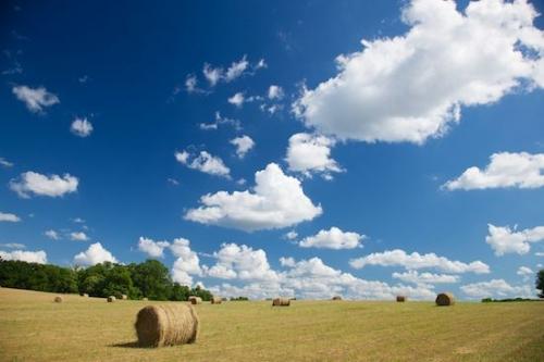 Clouds;Agricultural;Fields;Horizontal;Tennessee;Agriculture;Farm;Brown;Green;Hay Bales;Blue;Farming;Farmland;Hay Bale;Hay;Weather;White;Cloud Formation;Field;Cloud;Tan;Sky