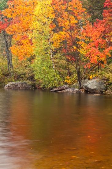 Autumn;Boulder;Boulders;Creek;Fall;Flow;Forest;Forested;Gold;Habitat;Jericho Lake State Park;Mirror;Nature;New England;New Hampshire;Pastoral;Ripple;River;Rock;Rocks;Rocky;Stone;Stones;Stream;Stream Bank;Sunlight;Sunshine;Timber;Timberland;Warm Colors;Warm Palette;Warm Tones;Water;Wood;Woodland;Woodlands;Woods;Yellow;color;green;landscape;leaves;oneness;orange;peaceful;red;reflection;reflections;river bank;serene;soothing;sunlit;tranquil;trees;yellow;zen