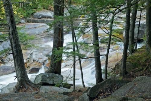 Fall;Stream;tree;Autumn;tree trunk;Cascading;Rocky;New England;bark;branches;Rocks;Falls;Woodlands;Wood;Rock;Pouring;Landscape;Cascade;trees;Tree;Stones;Forest;Water;Woodland;New Hampshire;Waterfall;Waterfalls;Streaming;Boulder;trunk;Timber;Trail;Boulders