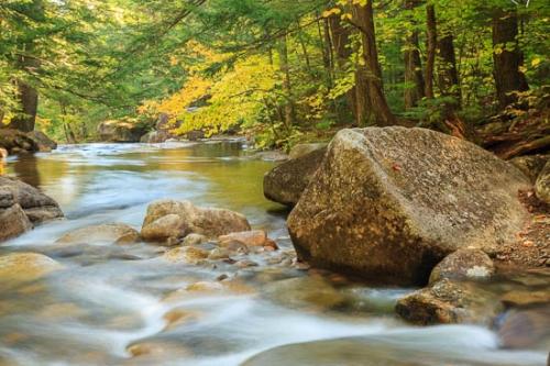 Boulder;Boulders;Brown;Cascade;Creek;Flow;Forest;Forested;Gold;Green;New England;New Hampshire;Oneness;Orange;Pouring;Rapids;Reflection;Reflections;Ripple;River;Rock;Rocks;Rocky;Stone;Stones;Stream;Streaming;Tan;Timber;Trees;Water;Waterfalls;Woods;Yellow;flowing