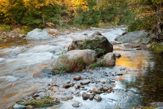 Autumn;Boulder;Boulders;Branches;Calm;Cascade;Cascading;Creek;Fall;Falls;Flow;Forest;Forested;Healing;Health care;Healthcare;Nature;New England;New Hampshire;Pastoral;Pebbles;Pouring;River;Rock;Rock formations;Rocks;Stone;Stones;Stream;Stream Bank;Streaming;Sunlight;Sunshine;Timber;Timberland;Tree;Vein;Water;Waterfalls;Waterscape;Wood;Woodland;Woods;branch;flowing;foliage;green;landscape;leaves;limbs;oneness;peaceful;plants;rapids;reflection;reflections;restful;river bank;serene;soothing;sunlit;tranquil;tree limbs;tree trunk;trees;zen